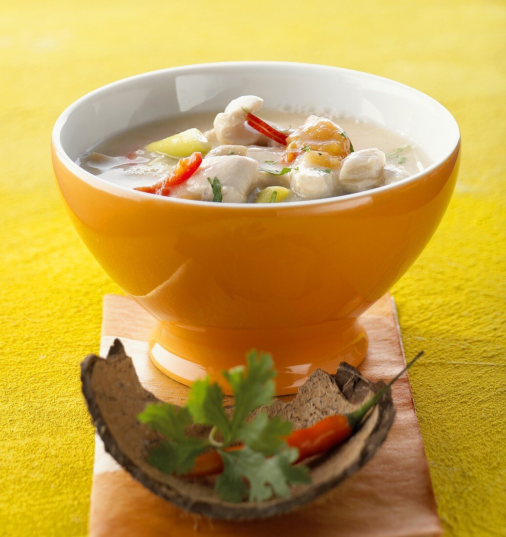 Chicken soup with coconut milk (Thailand)