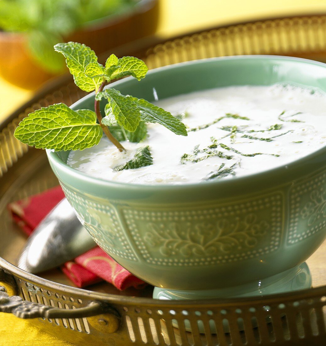 Gekühlte Joghurtsuppe mit frischer Minze (Indien)