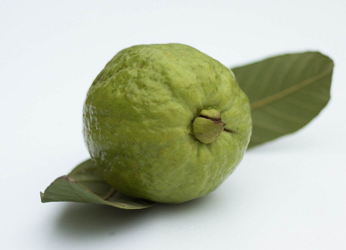 Guave mit Blatt