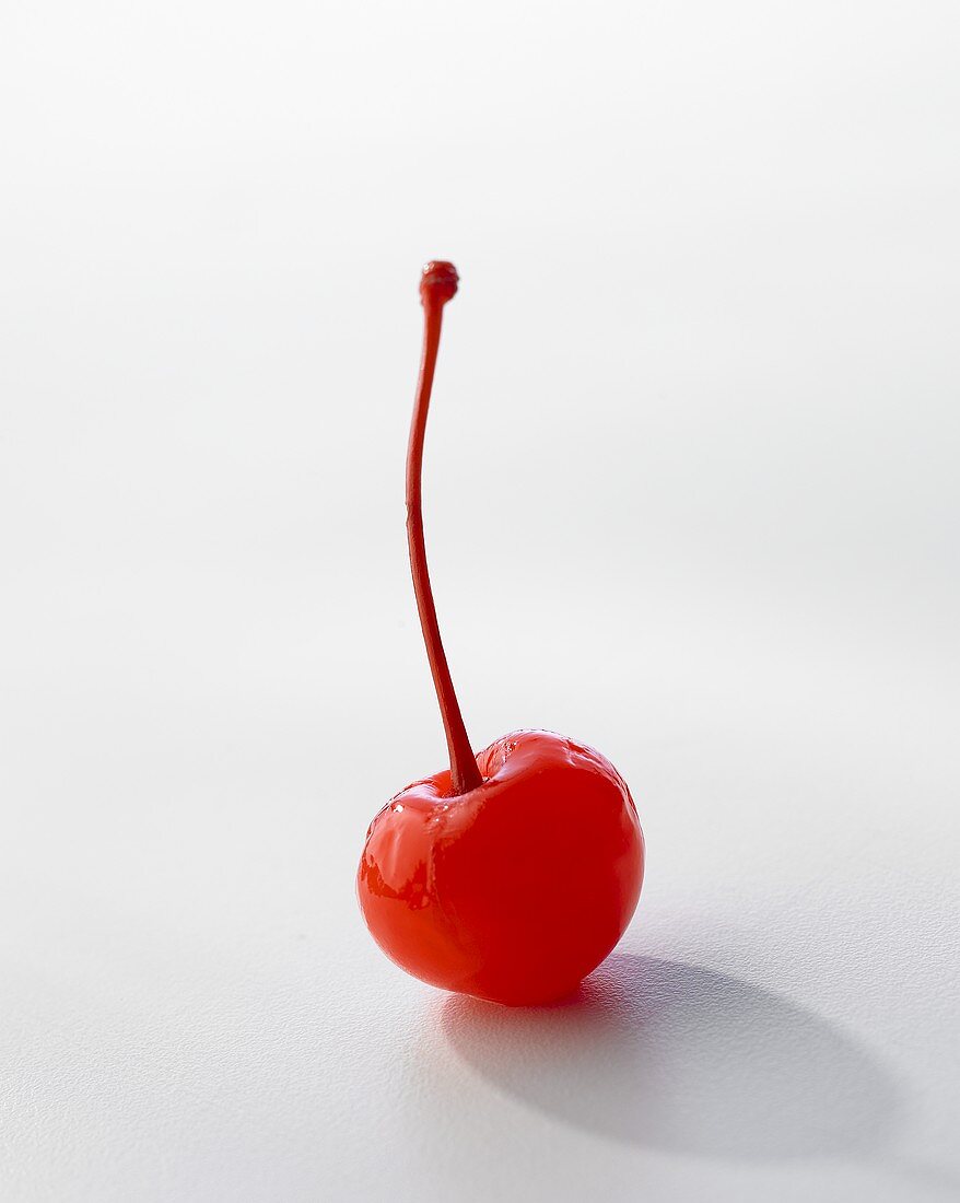 An Amarena cherry with stalk