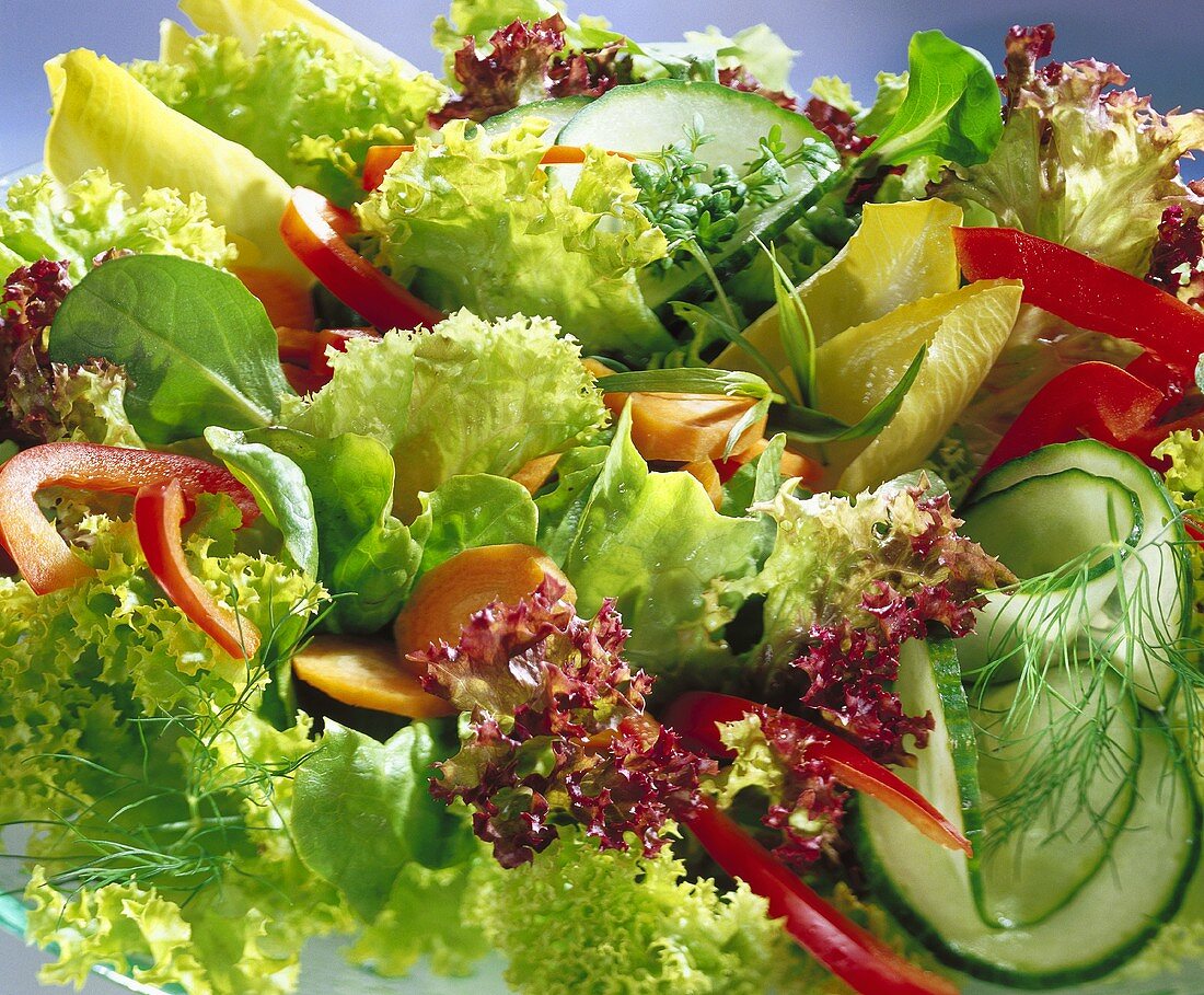 Gemischter Blattsalat mit Gemüse ohne Dressing