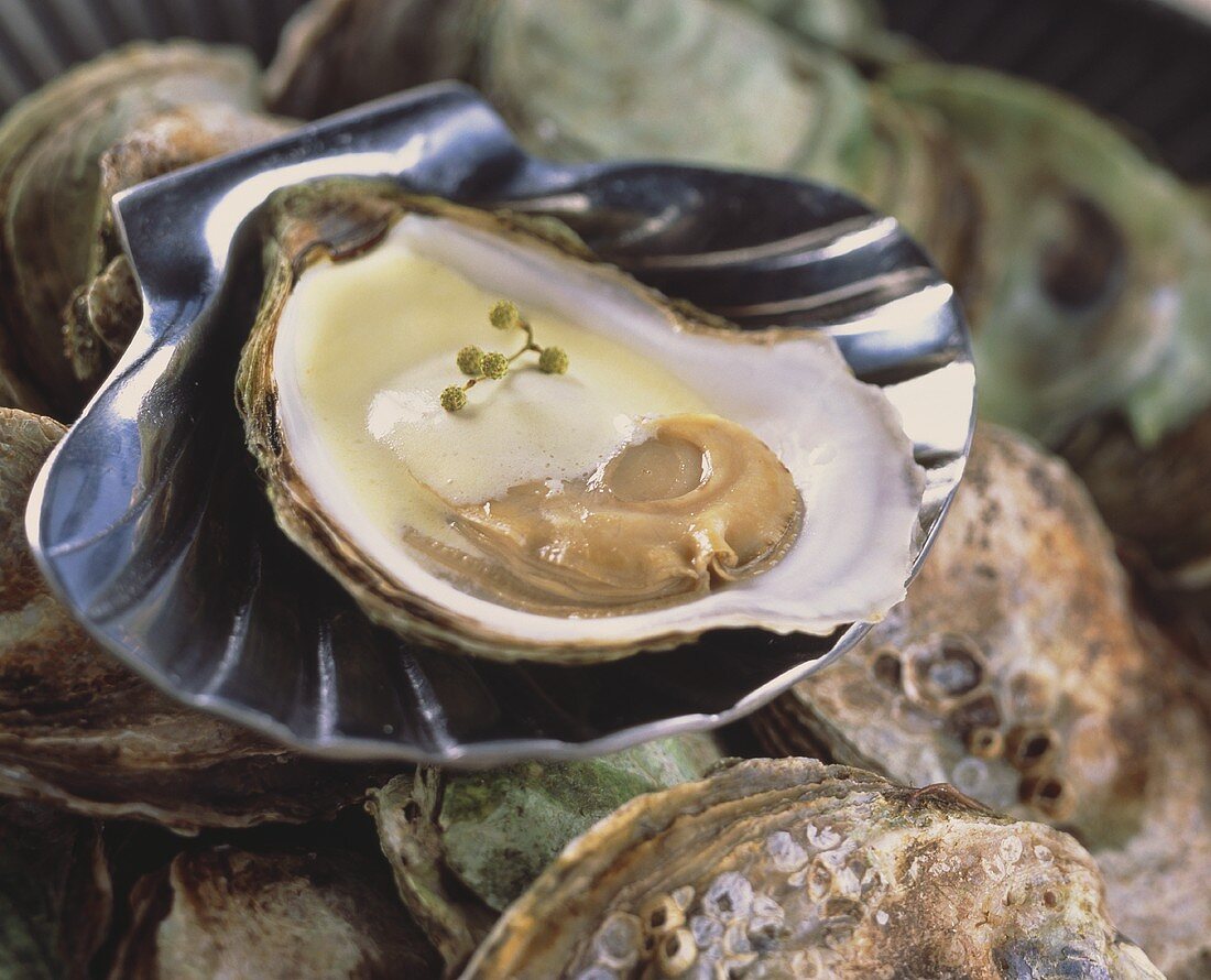 Oyster with champagne sauce