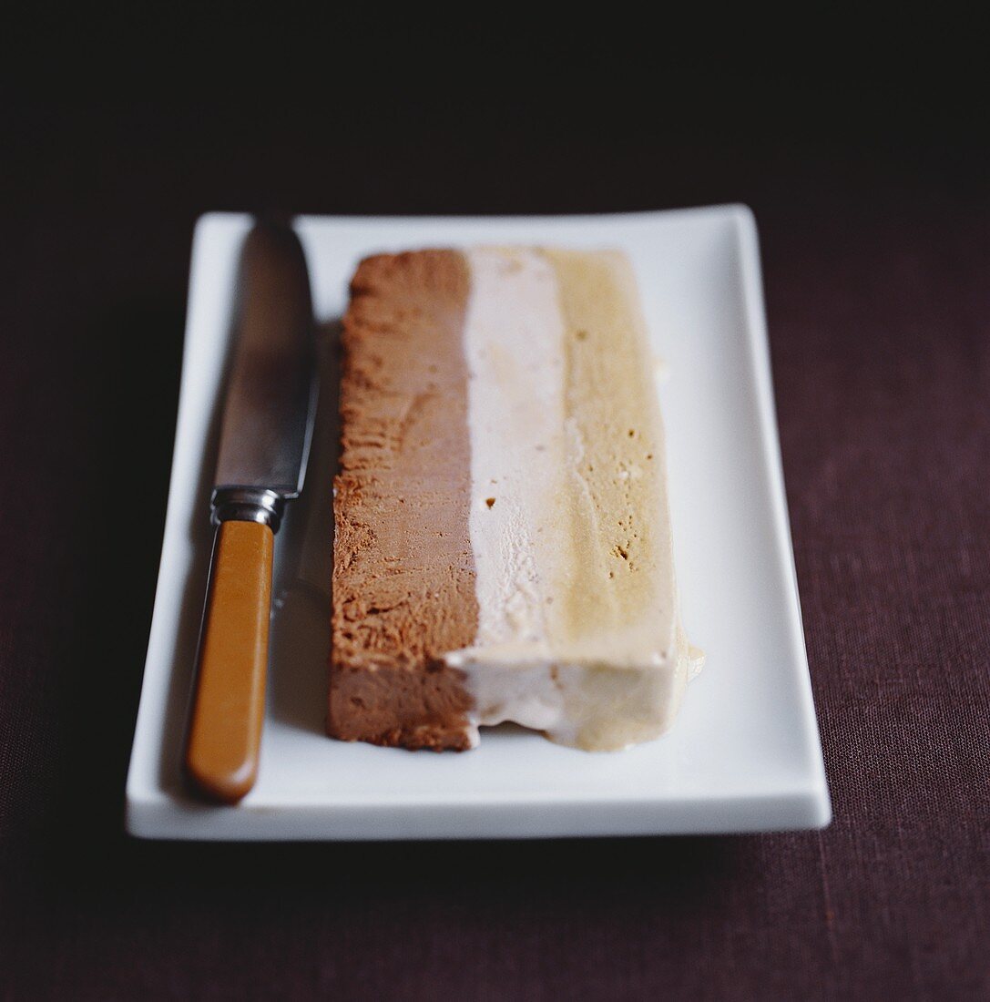 Piece of ice cream cake with chocolate, coffee & nut ice cream