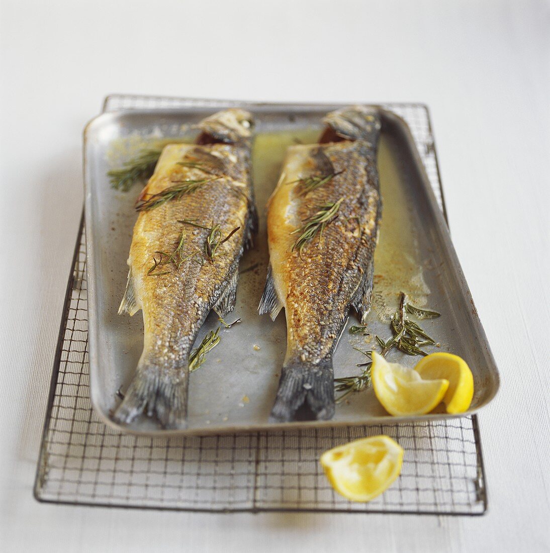 Grilled trout on baking tray