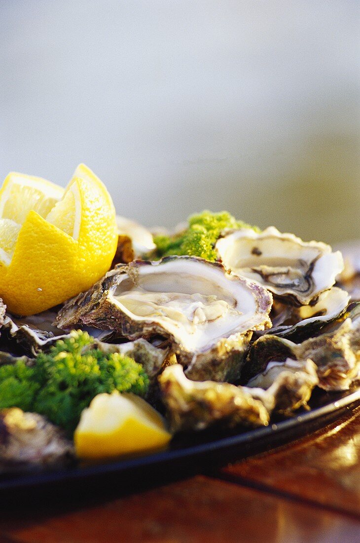 Oysters garnished with lemons and salad