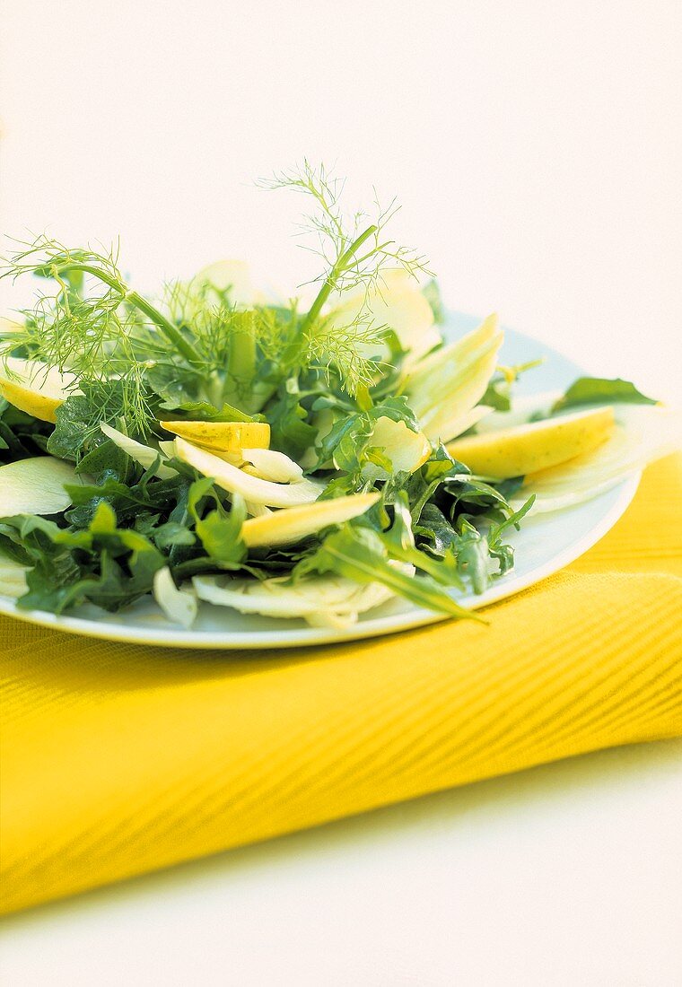 Rocket salad with fennel and apple