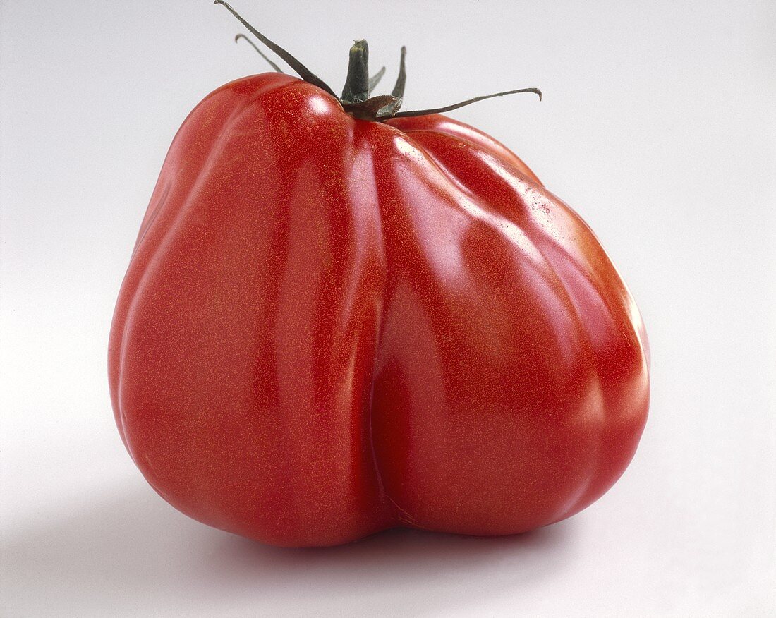 A beefsteak tomato (ox heart tomato)