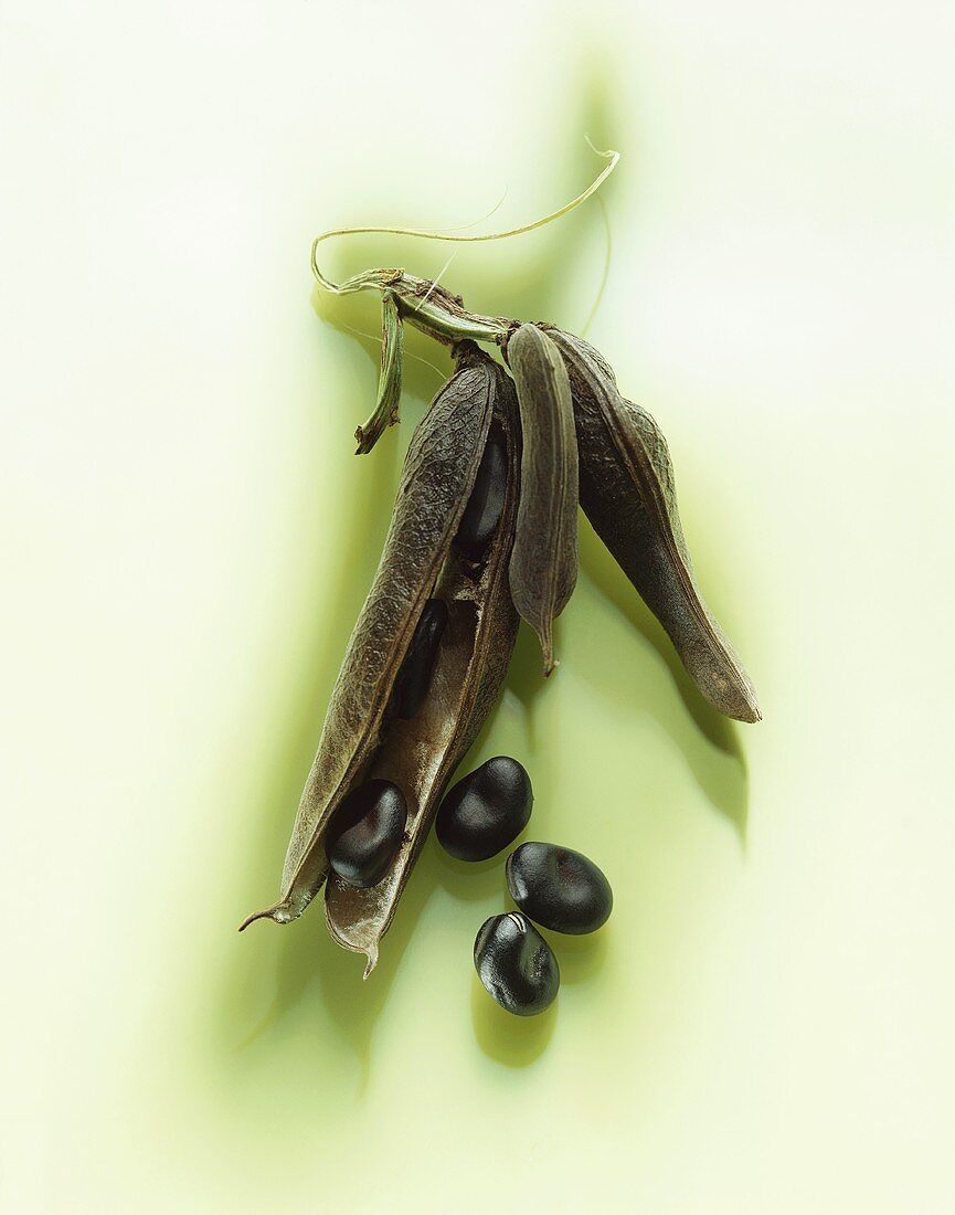 Black lima beans - Europe's first beans