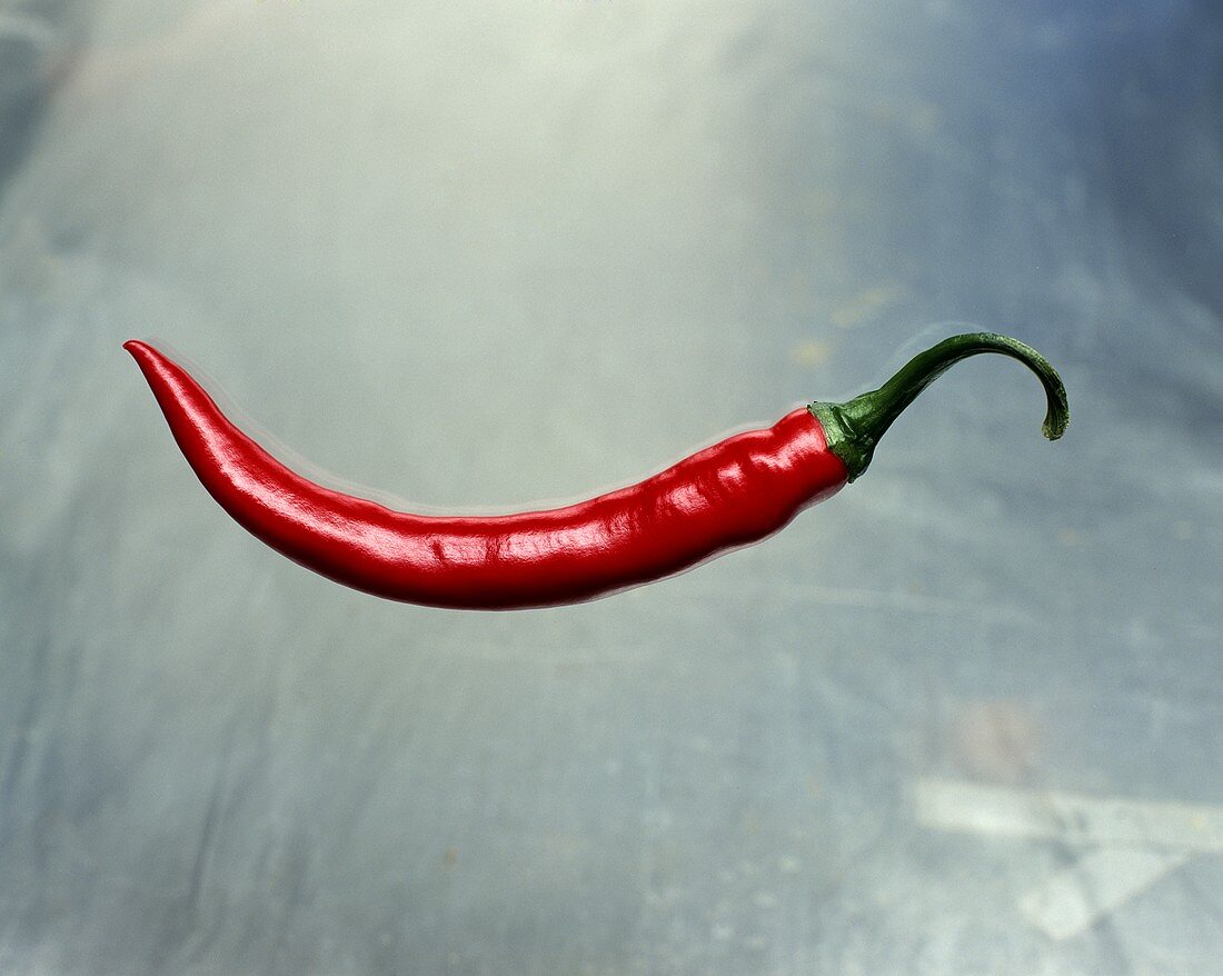 One Red Chili Pepper