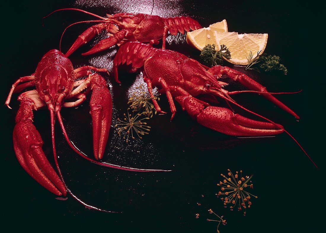 Three cooked crabs on black background