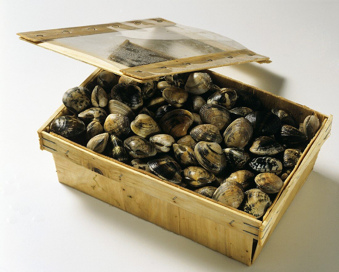 Clams in a wooden box