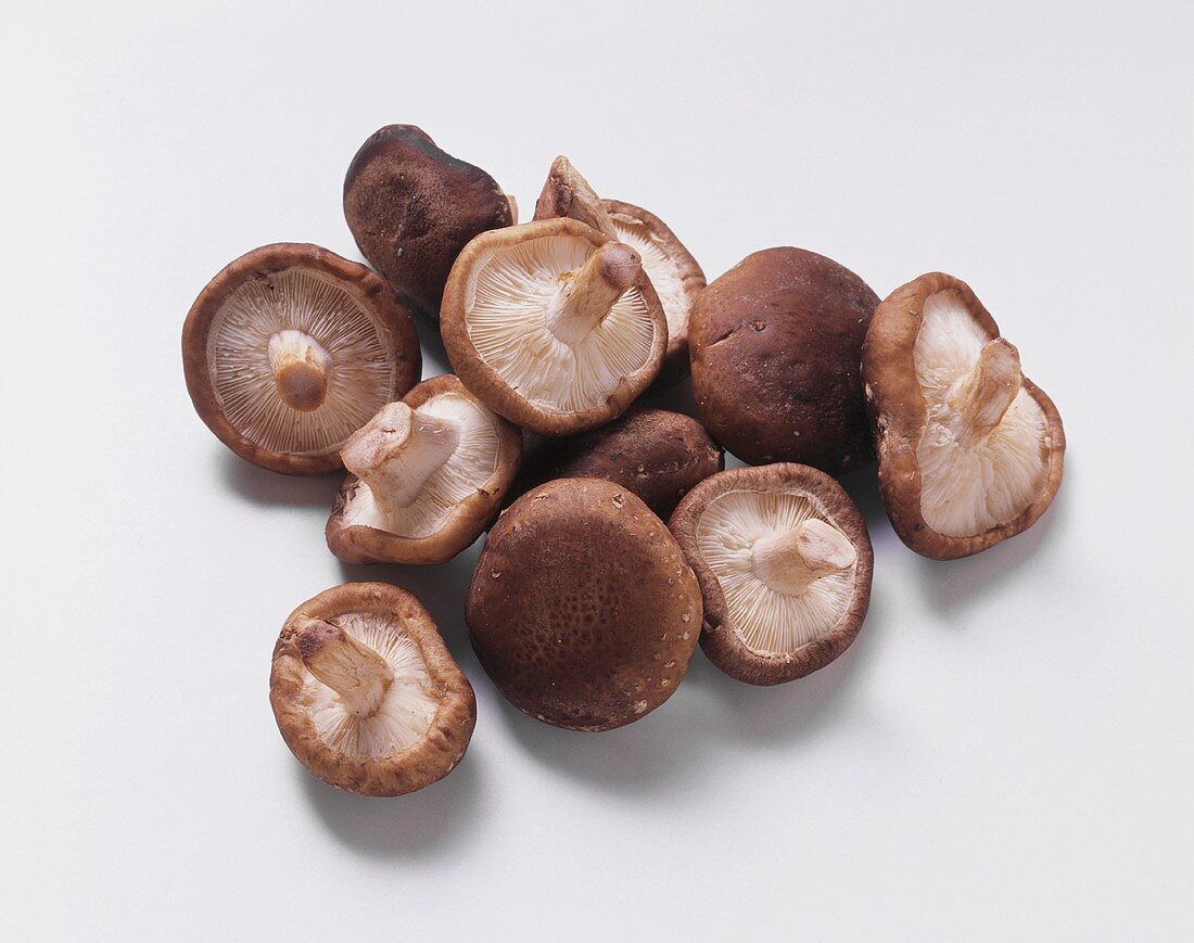 Several Shiitake mushrooms
