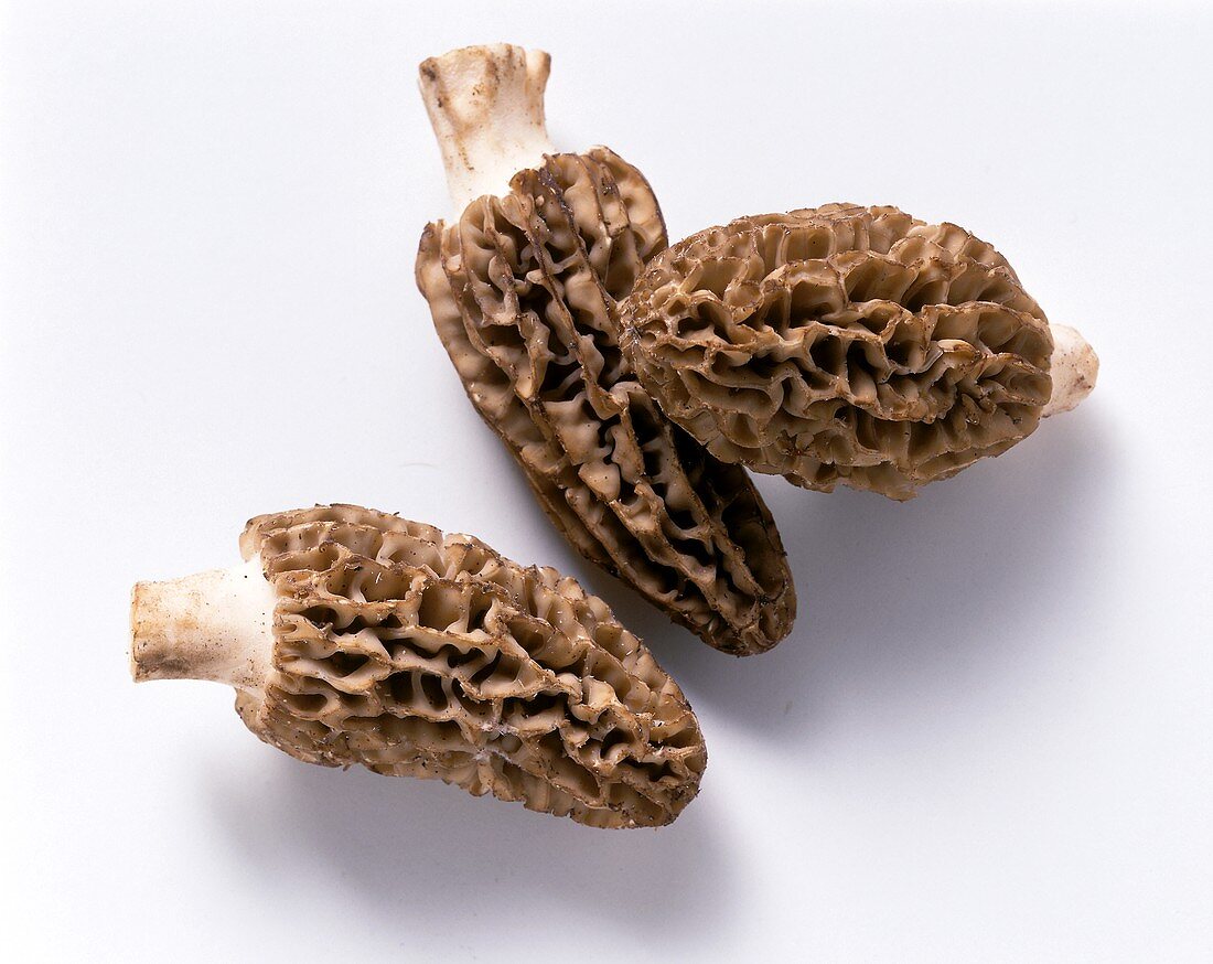 Three morels