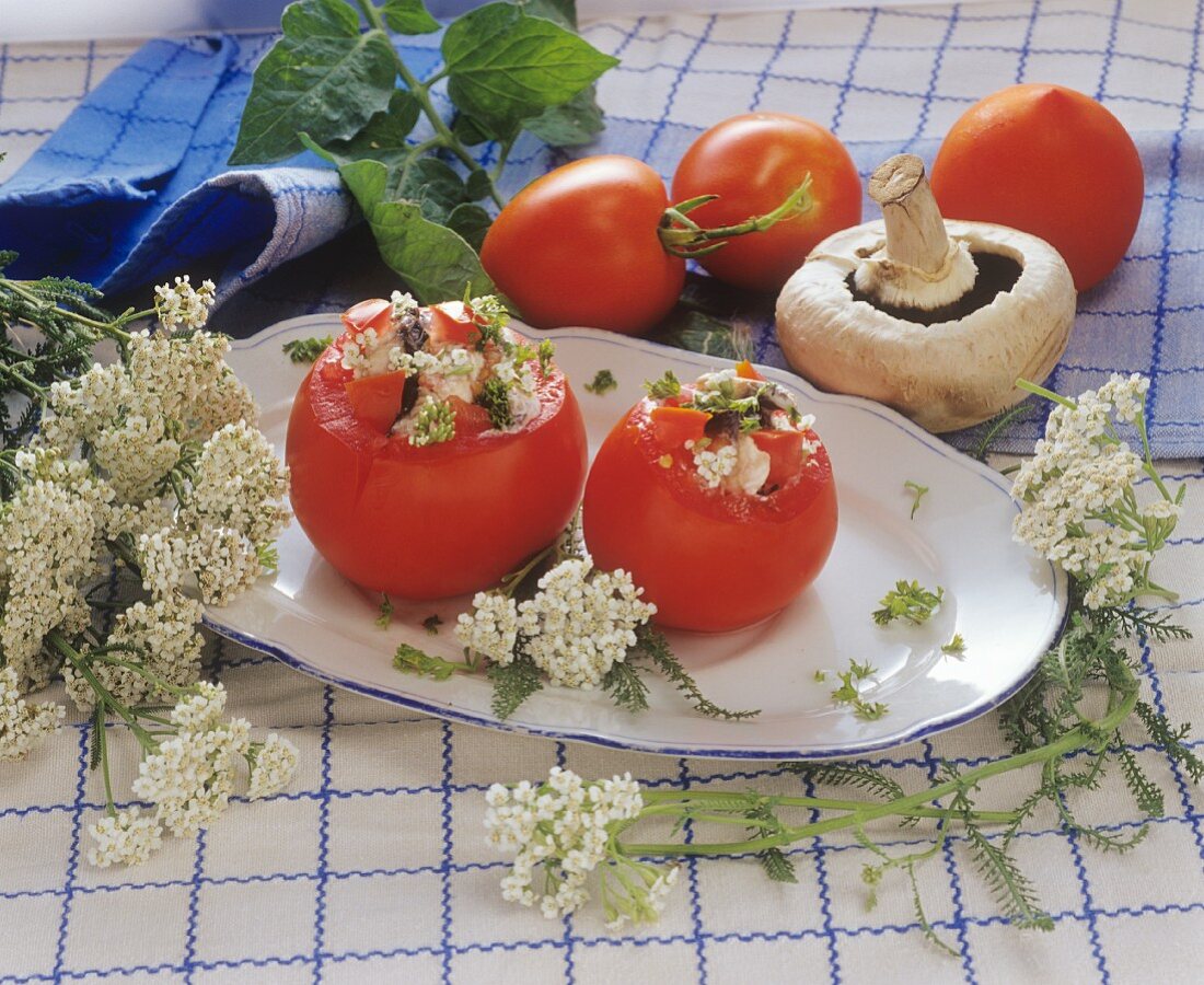 Tomaten mit Champignon-Schafgarbe-Füllung