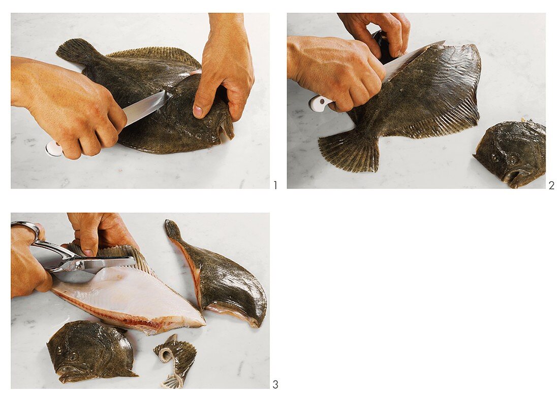 Preparing up a turbot, removing gills and bones