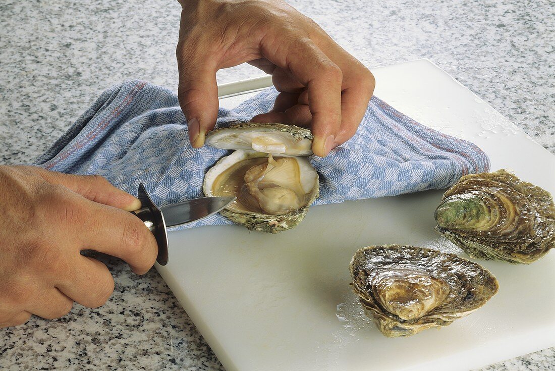 Opening Oysters