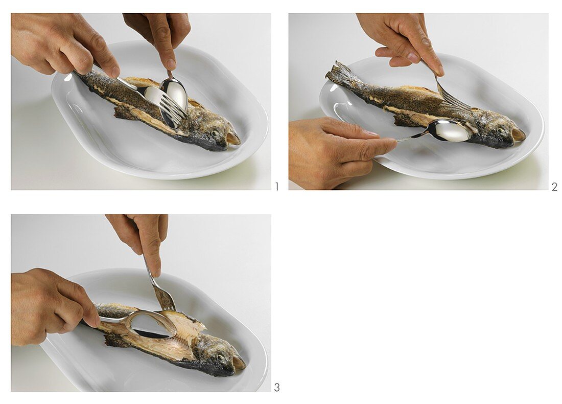 Filleting a fried trout