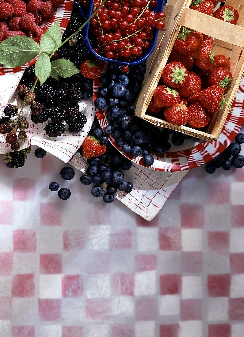 Fresh red and blue berries