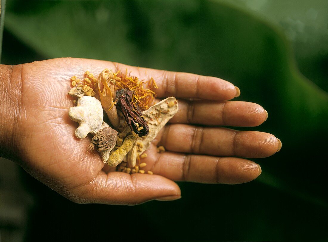 Hand Holding Spices