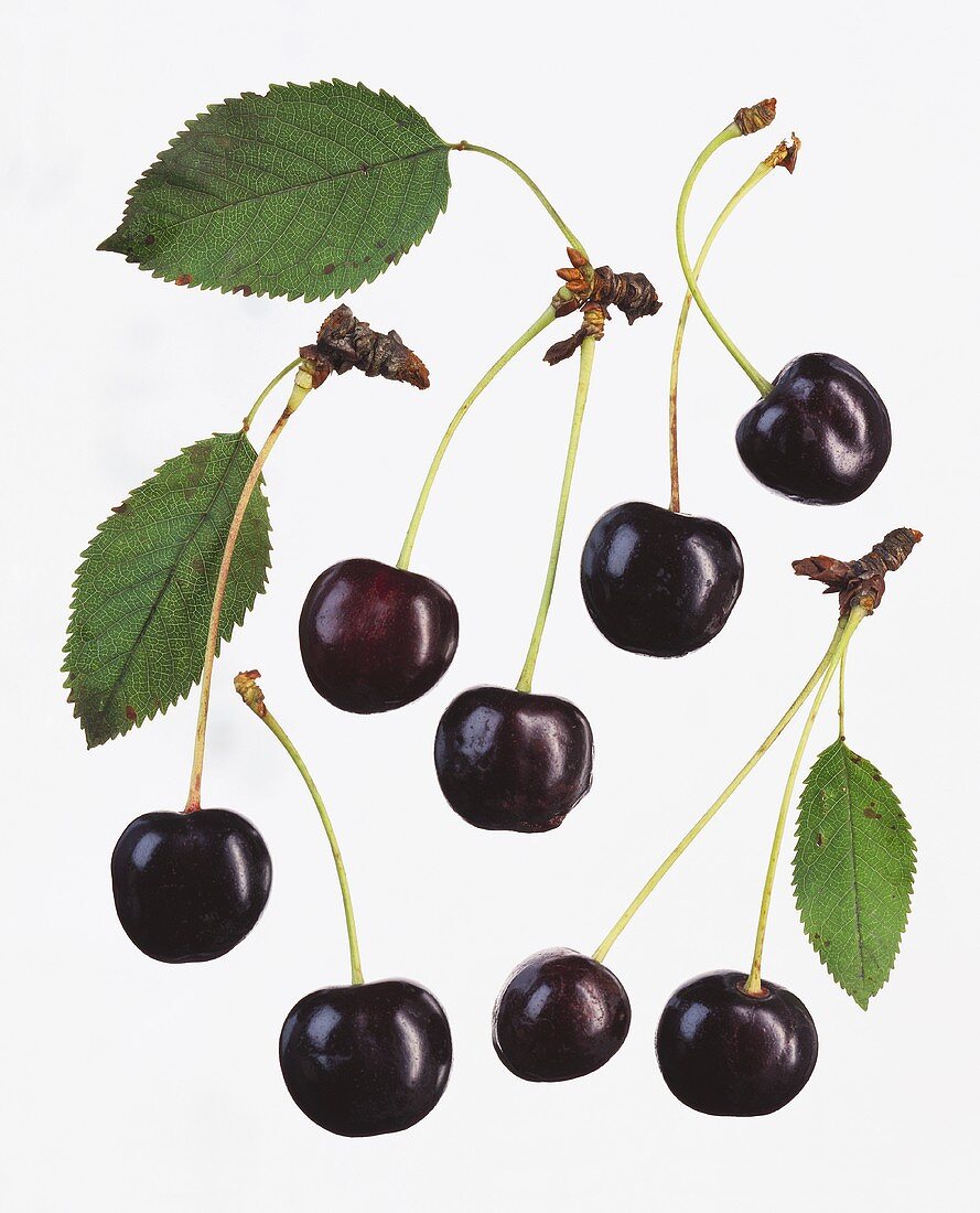 A few black cherries