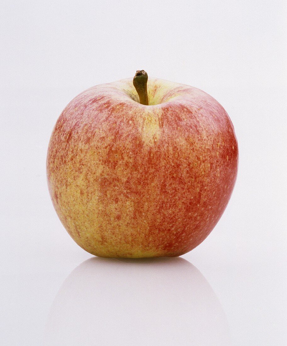 Ein Apfel der Sorte Idared