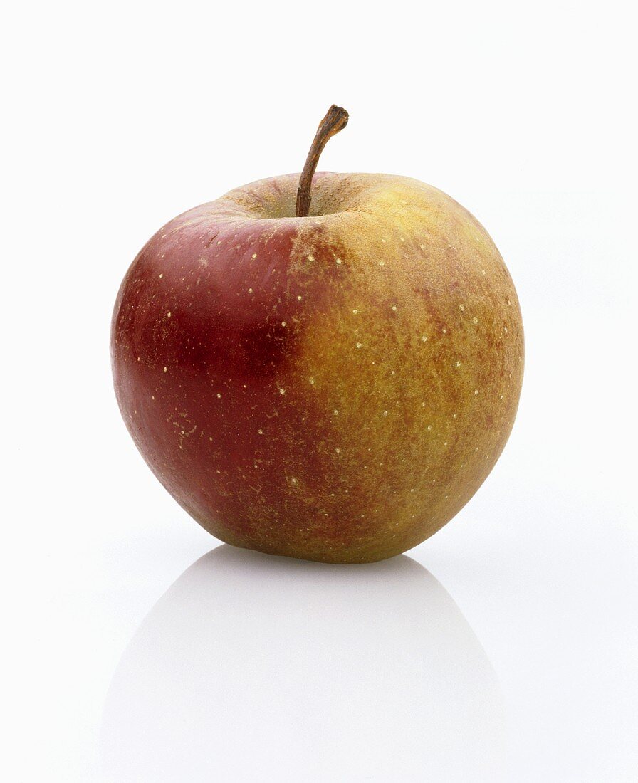 Ein Apfel der Sorte Roter Boskop