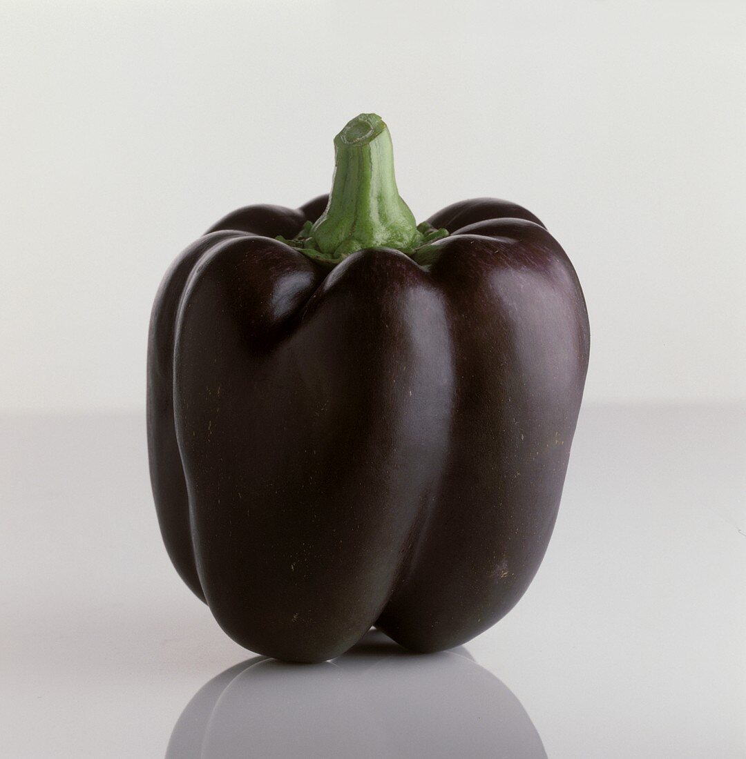Purple Bell Pepper