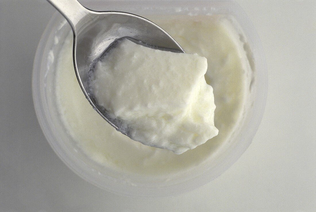 Yoghurt in a small bowl and on a spoon
