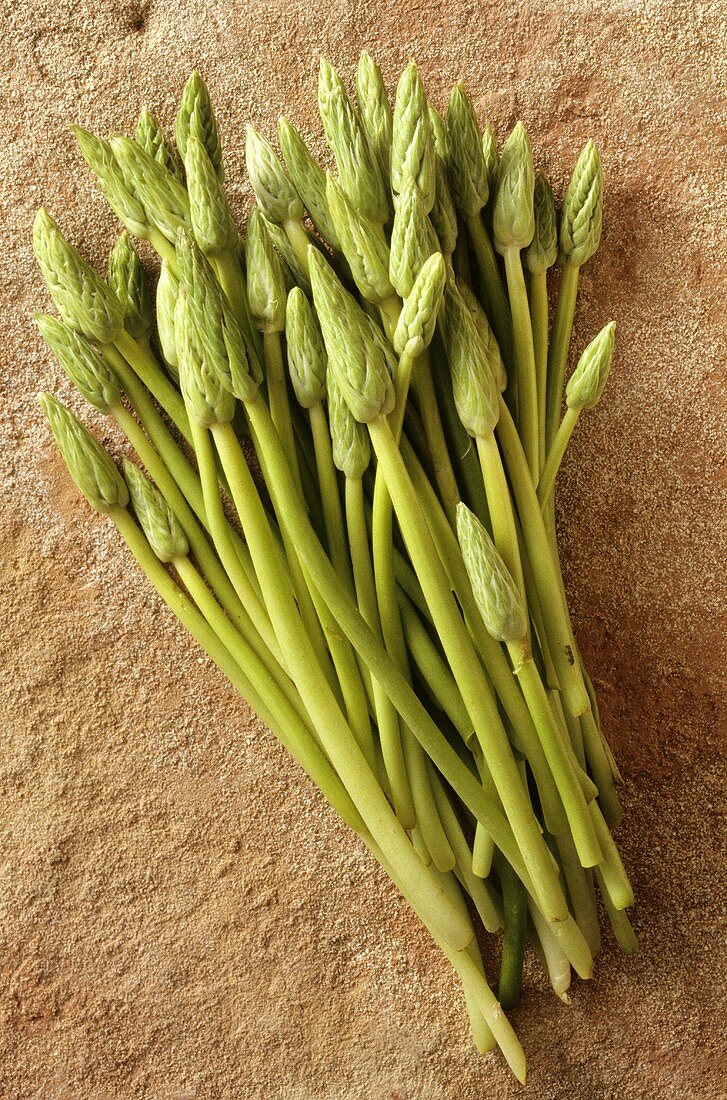 Wild asparagus from France