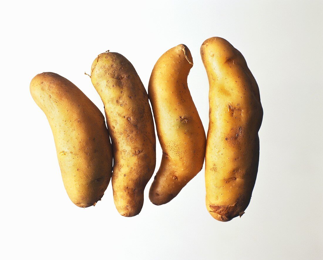 Kartoffelsorte aus Frankreich: La Ratte