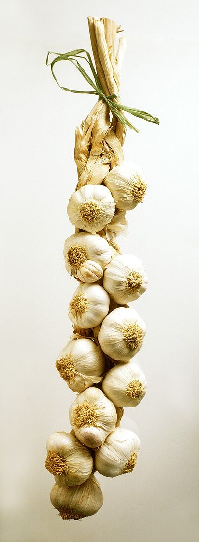 A garlic rope