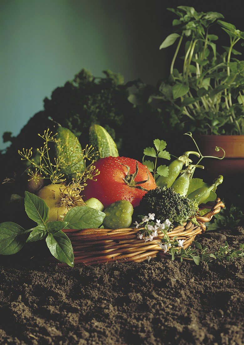A Basket of Garden Fresh Vegetables