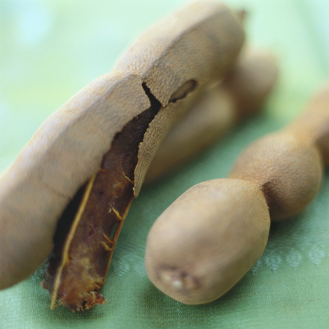 Tamarinden, eine mit geöffneter Schale