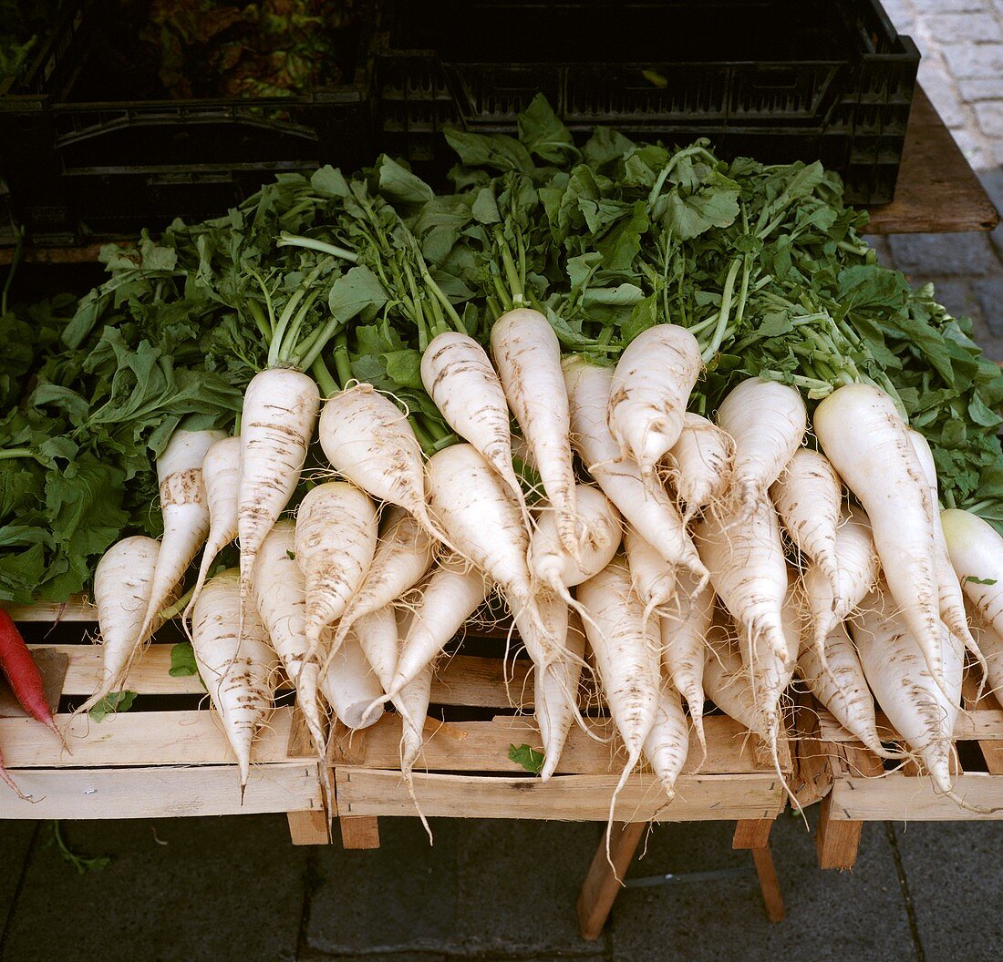 White radishes on a vegetable stall