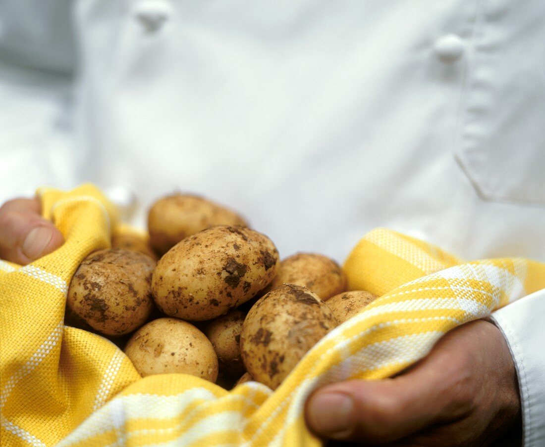Kartoffeln auf gelbem Geschirrtuch
