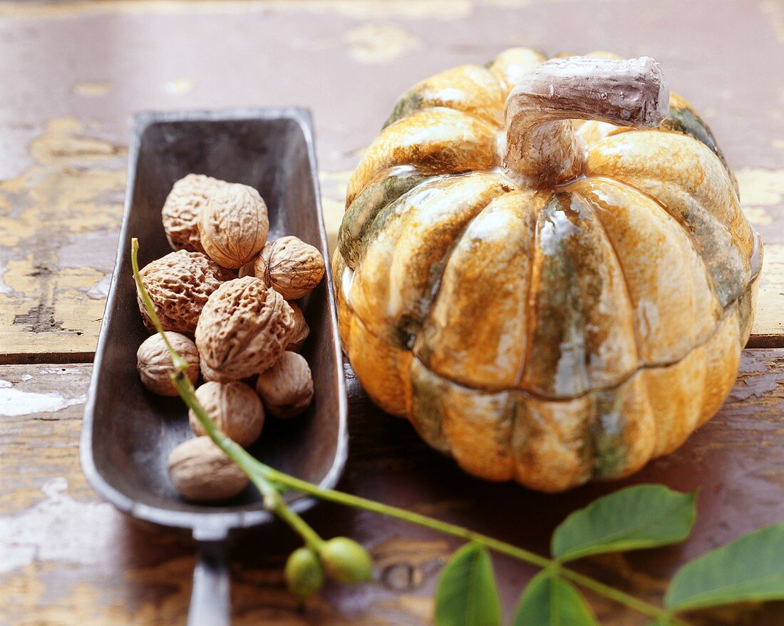 Autumn still life with walnuts and pumpkin