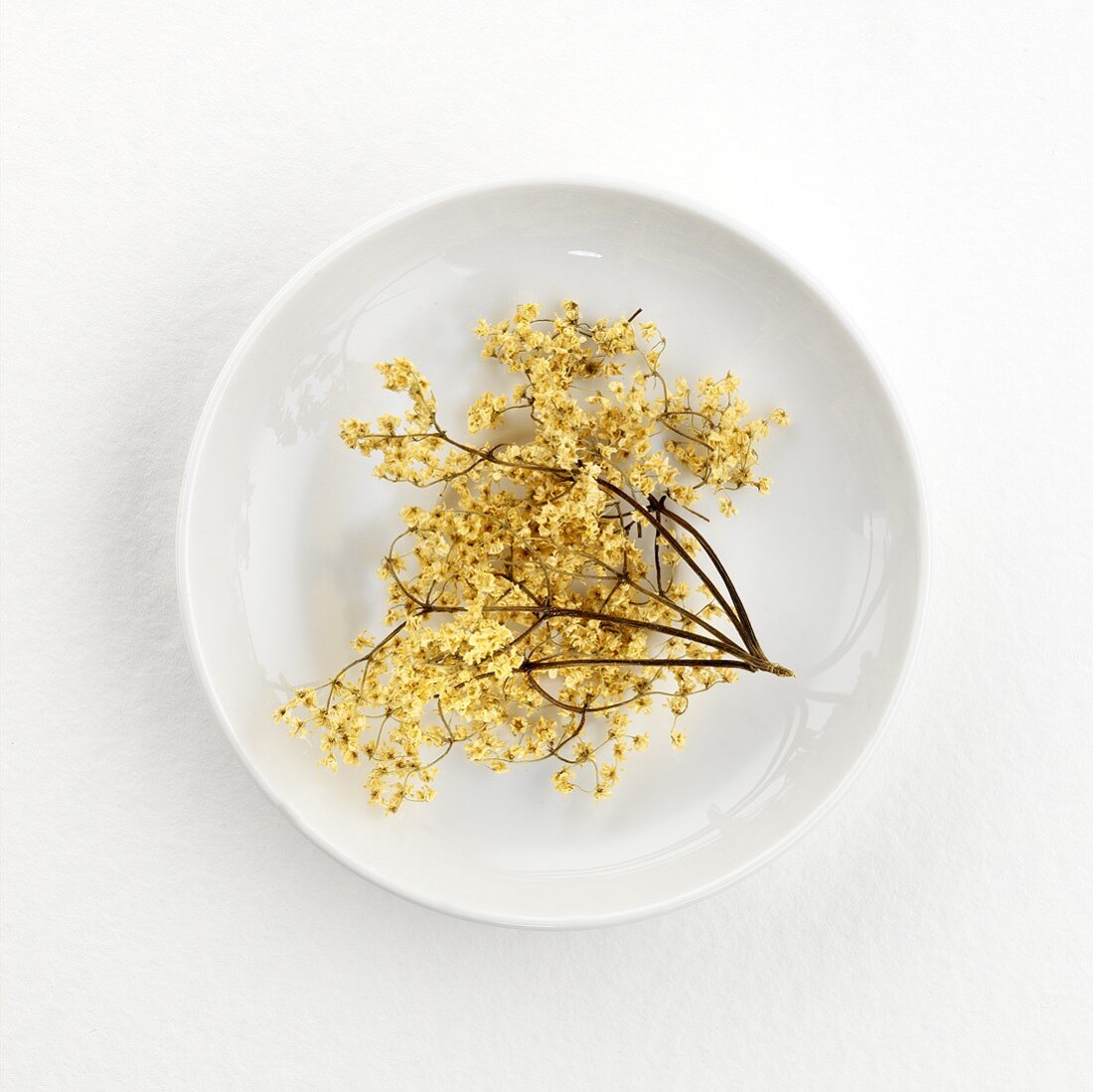 Dried elderflowers (for elderflower tea) on plate