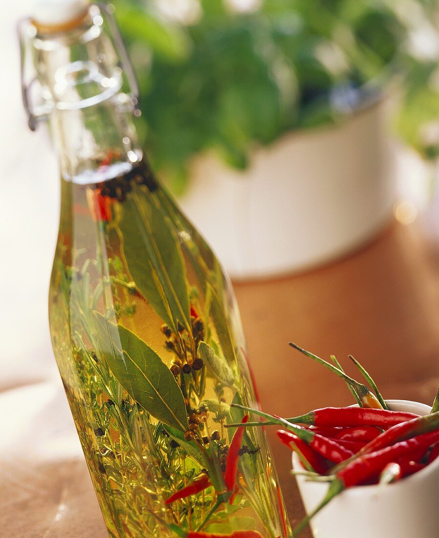 Bottle of herb oil with chili peppers