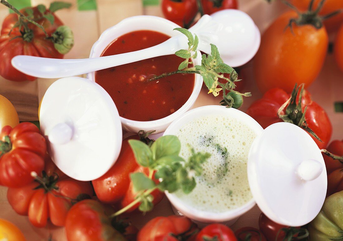 Tomato soup and creamed herb soup in soup bowls
