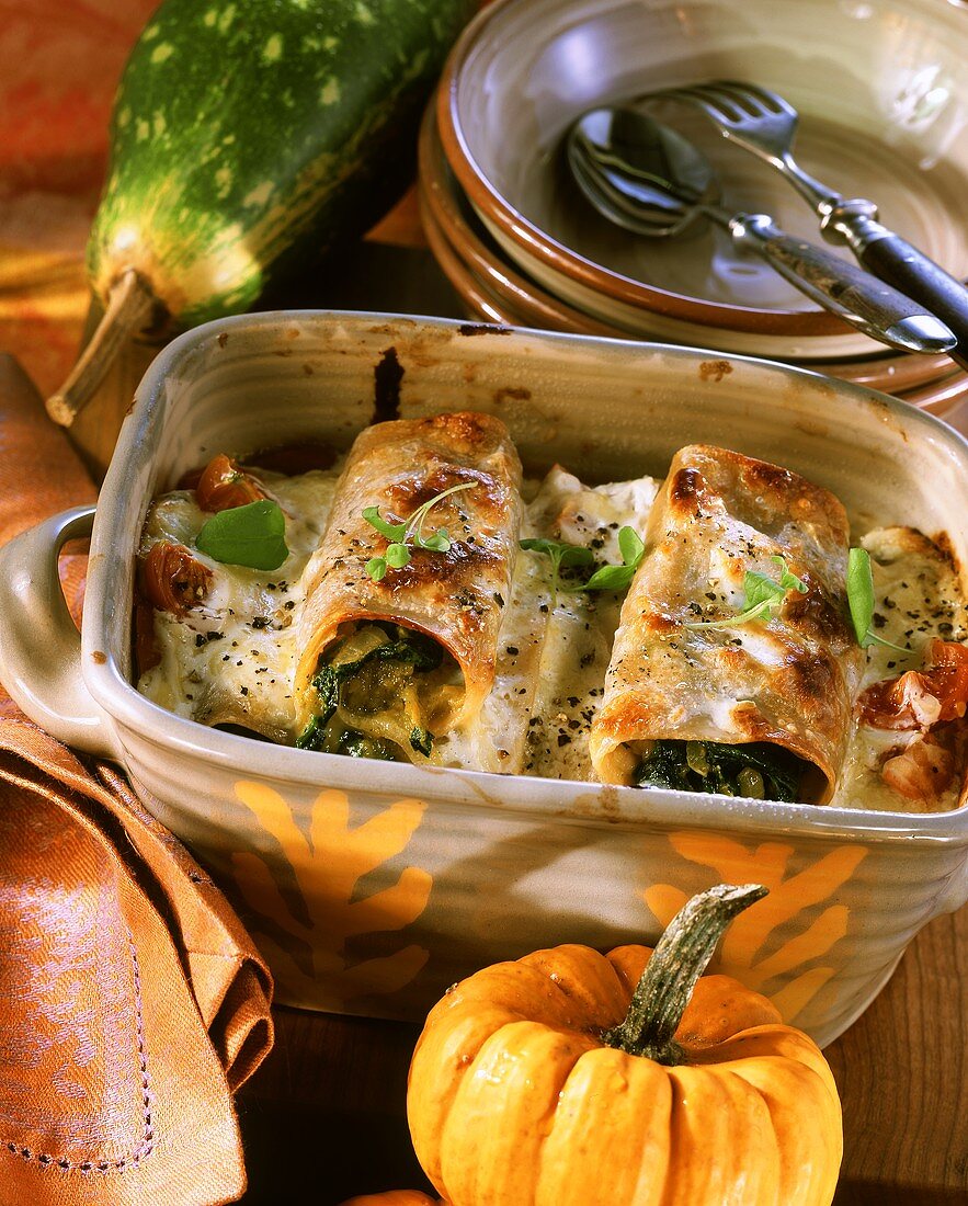 Cannelloni with pumpkin and spinach filling in baking dish