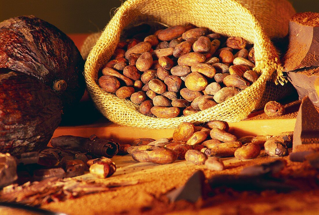 Cocoa beans in jute sack; chocolate