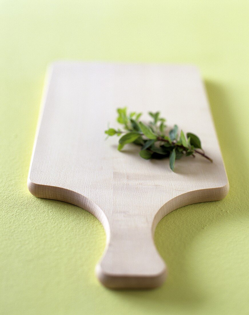 Wooden chopping board and herb sprig