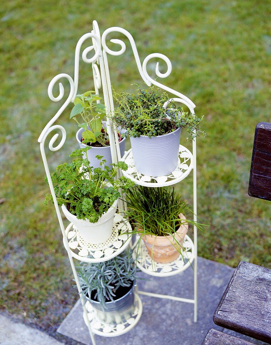Tiered stand with various herbs in open air