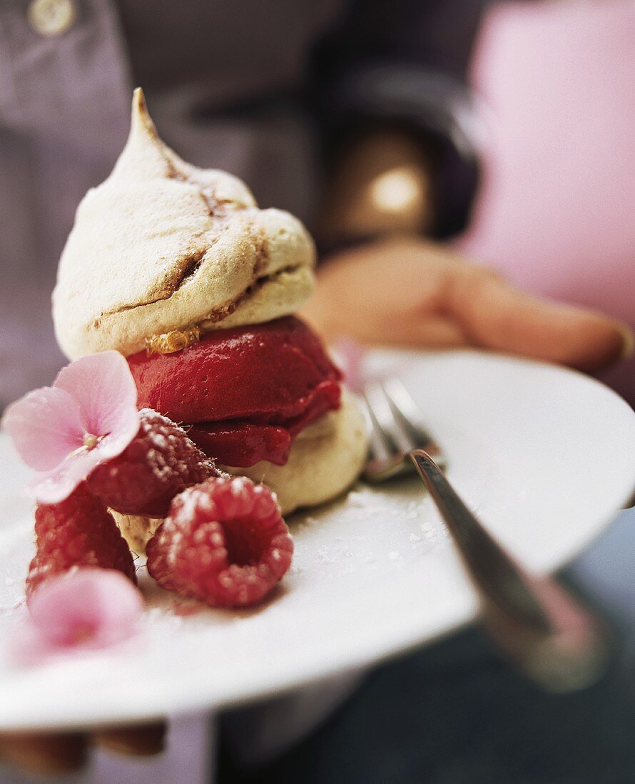 Raspberry ice cream in meringue with fresh raspberries