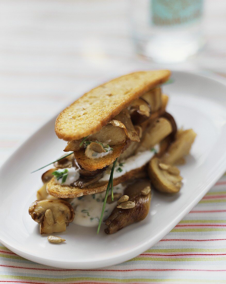 Mushroom and bread chip lasagne with chive quark
