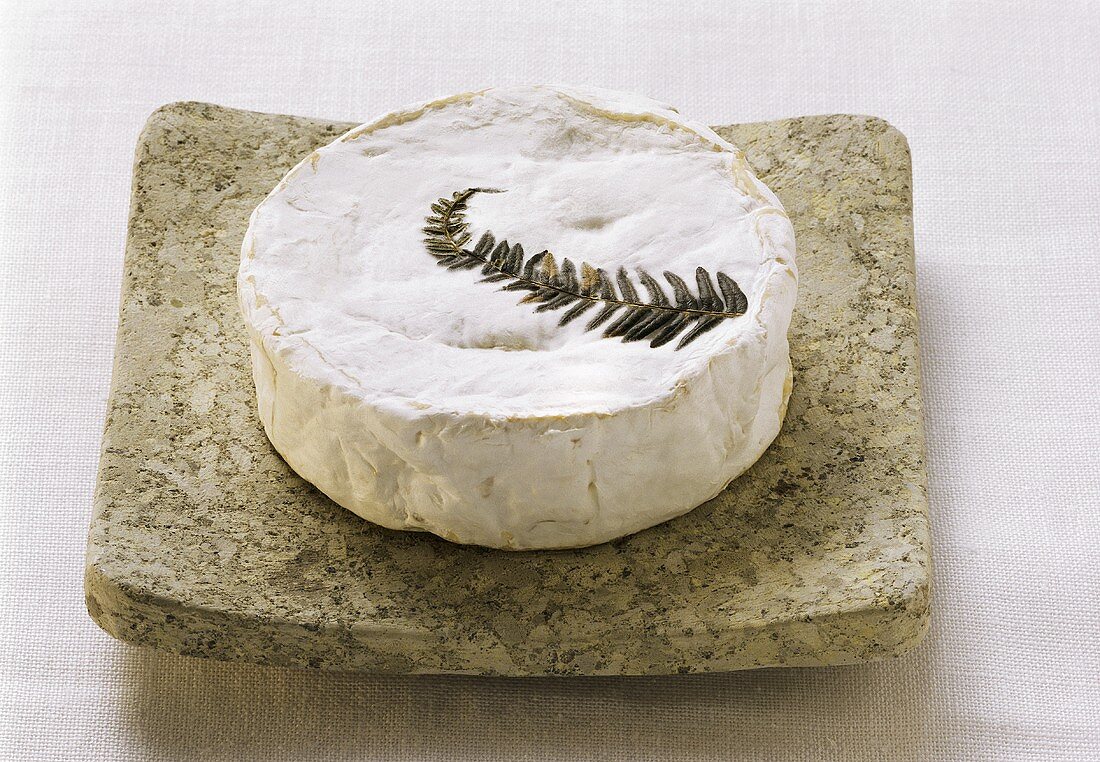 Fougeru (Rohmilchkäse mit Farnblatt) auf Steinplatte