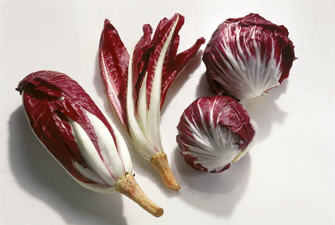 Radicchio from Treviso and Chioggia, Veneto, Italy