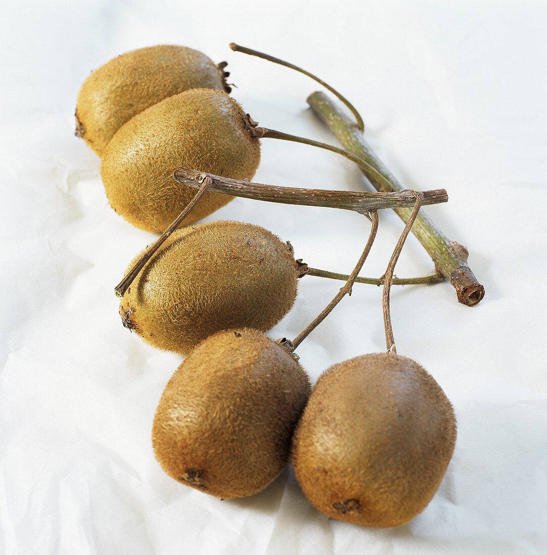 Five kiwi fruits in a cluster