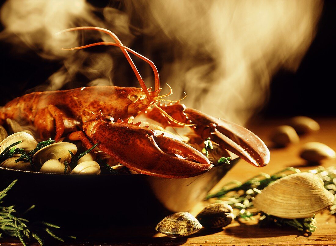 Cooked lobster, mussels and seaweed in pan