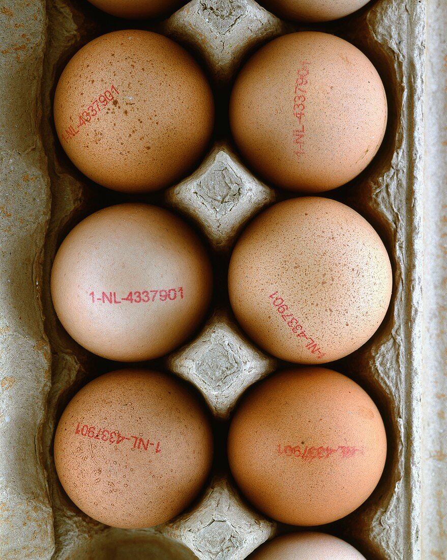 Brown eggs (with stamp) in egg box
